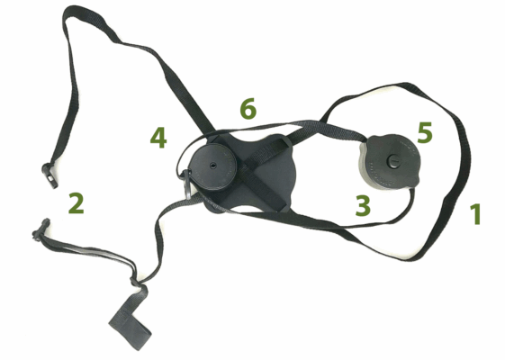 Yoyolino SP, une fabrication robuste et légère pour tout type de chien
